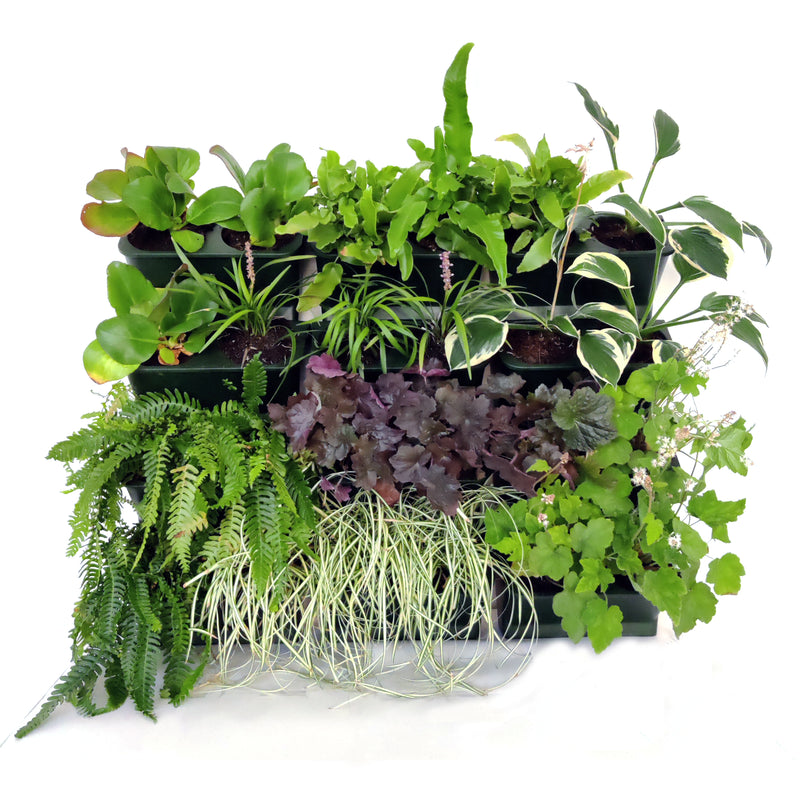Verticale tuin plantenbak - Groen - Breed - 33x17cm